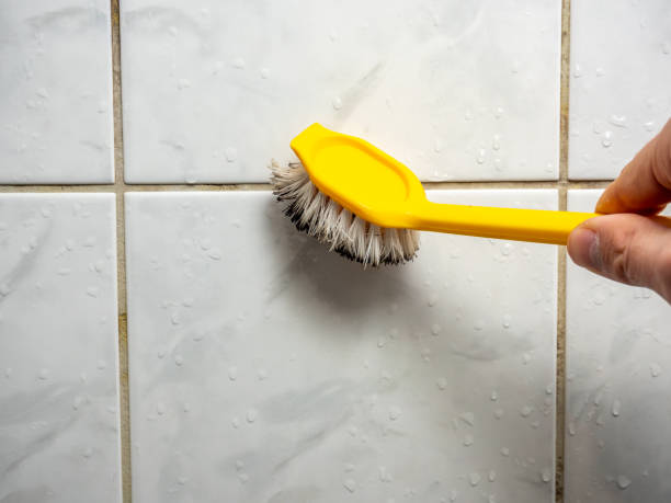 Best Residential Mold Removal  in Gardnerville Ranchos, NV