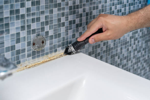 Best Mold Removal Near Me  in Gardnerville Ranchos, NV