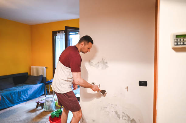 Best Crawl Space Mold Removal  in Gardnerville Ranchos, NV